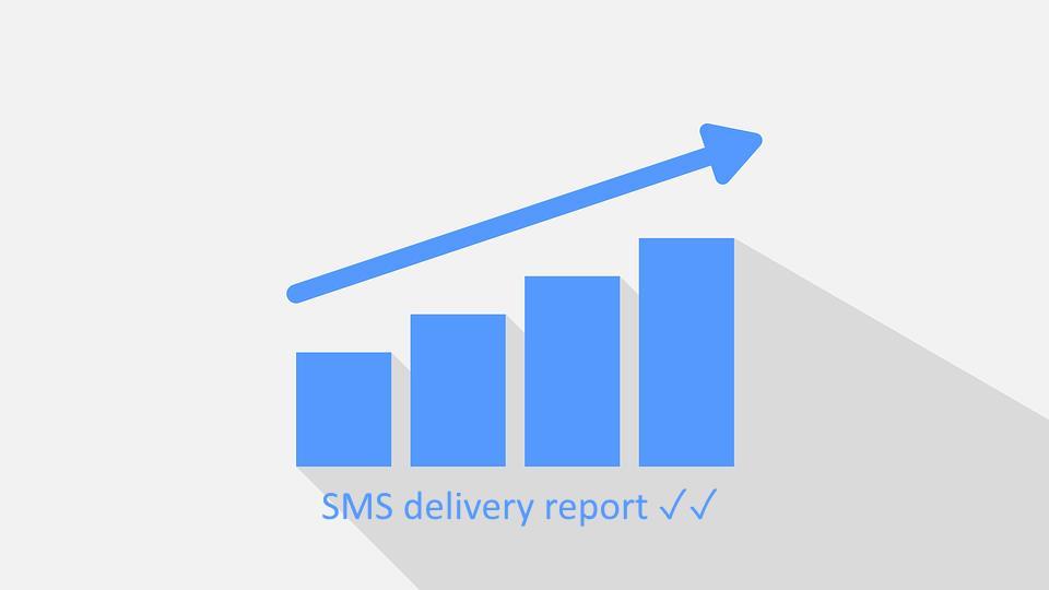 check-status-sms-sent-sms-panel